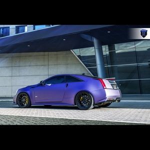 Meet your Posher, Dylan